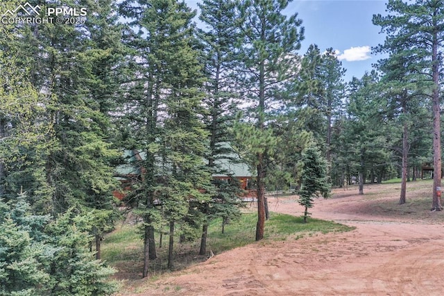 16 Echo Cir, Florissant, CO 80816 - view of local wilderness
