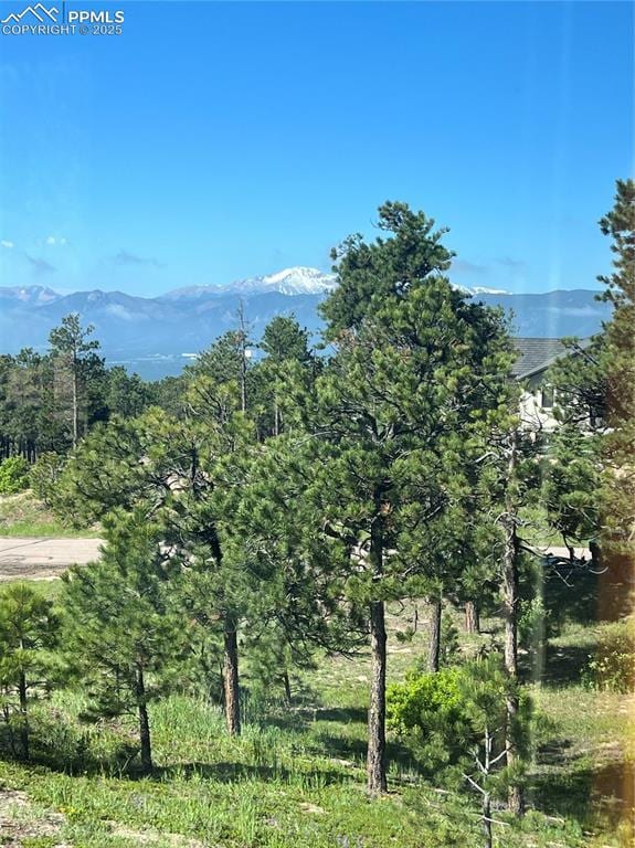 17575 Minglewood Trl, Monument, CO 80132 - mountain view featuring a forest