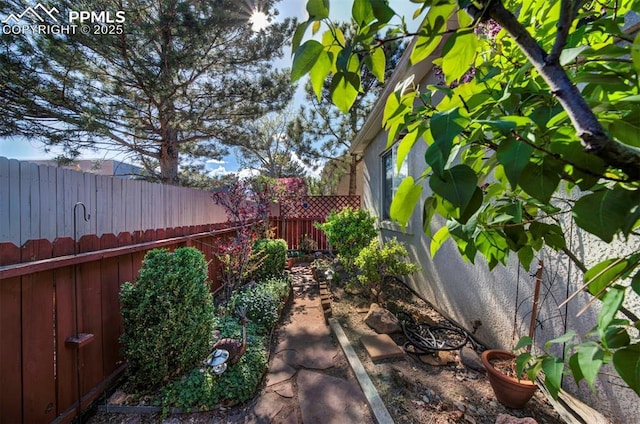 1670 Pinon Glen Cir, Colorado Springs, CO 80919 - view of fenced backyard