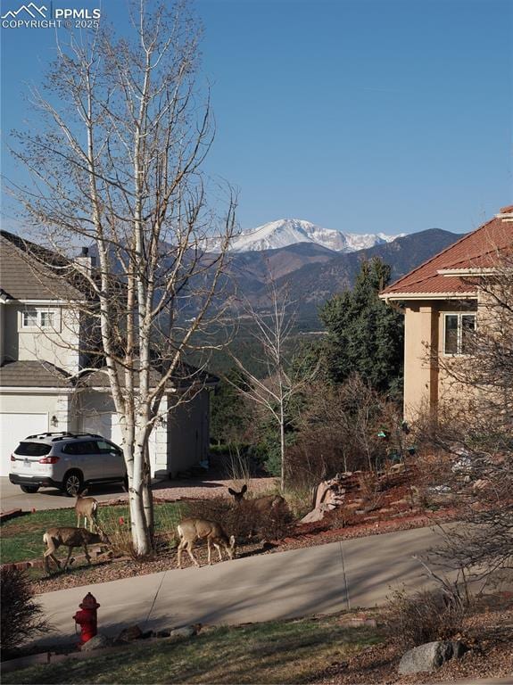 15295 Bovary Ct, Colorado Springs, CO 80921 - view of mountain backdrop