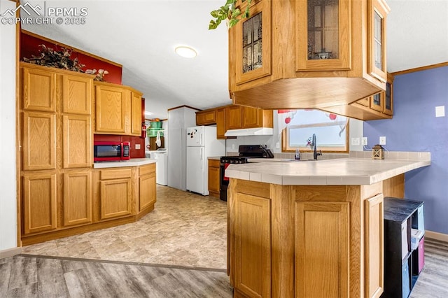 20625 El Nino Pt, Fountain, CO 80817 - kitchen with freestanding refrigerator, range, washing machine and dryer, a peninsula, and under cabinet range hood