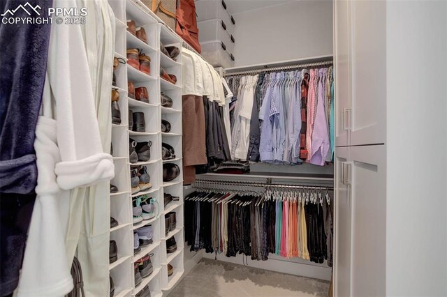 view of spacious closet