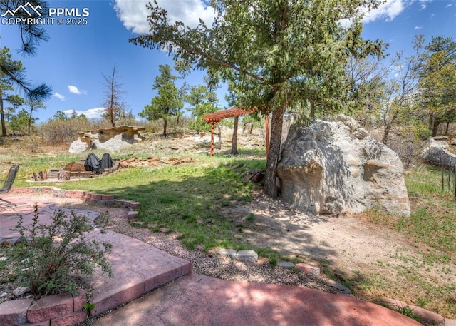 view of yard with a patio area