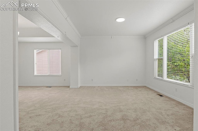 spare room featuring ornamental molding, carpet, and baseboards