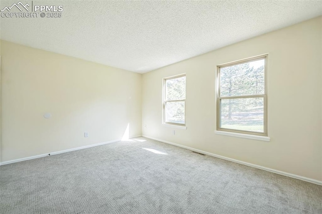 spare room with carpet, a textured ceiling, and baseboards