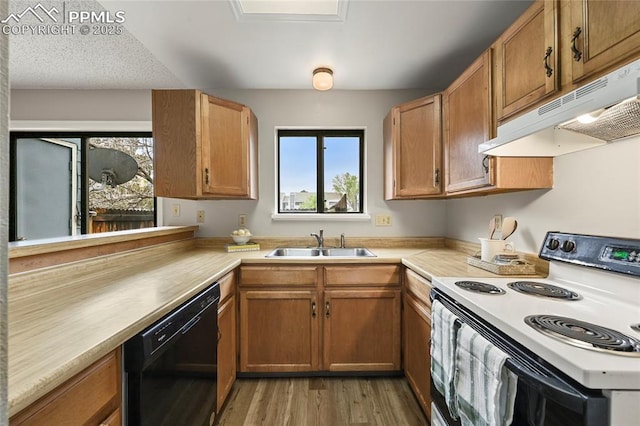 kitchen with white range with electric stovetop, under cabinet range hood, dishwasher, a sink, and light countertops