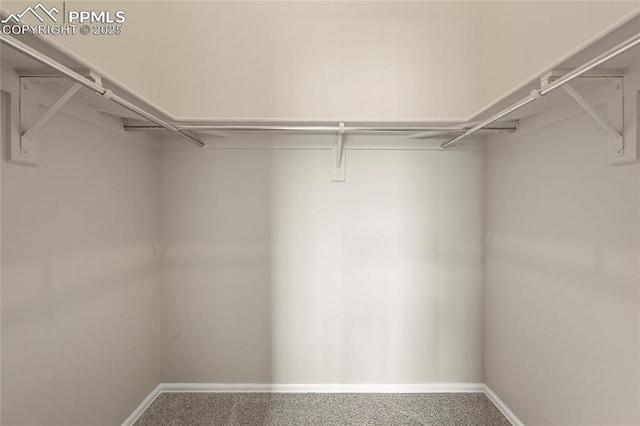 view of spacious closet