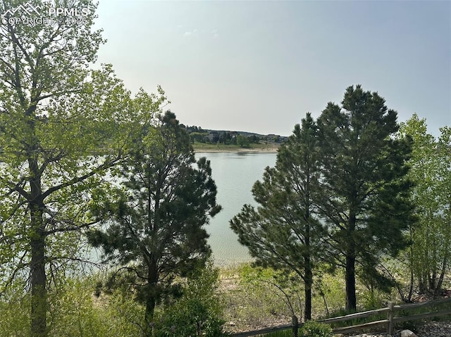 1769 Woodmoor Dr, Monument, CO 80132 - water view