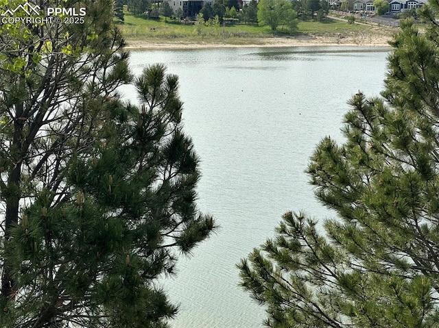 1769 Woodmoor Dr, Monument, CO 80132 - water view