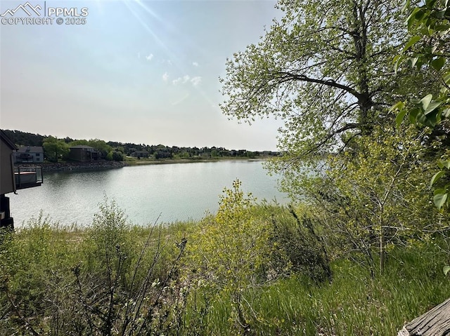 1769 Woodmoor Dr, Monument, CO 80132 - water view