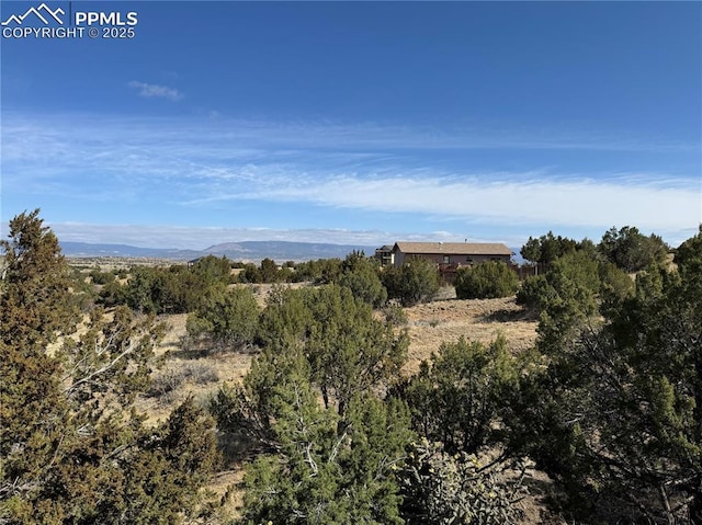 110 Yucca Ave, Florence, CO 81226 - view of mountain backdrop