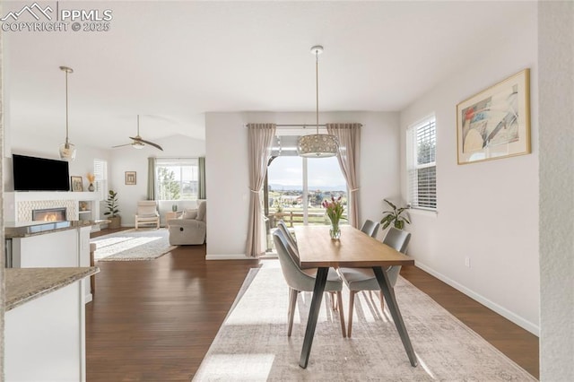 dining area with dark wood finished floors, healthy amount of natural light, a glass covered fireplace, and a ceiling fan