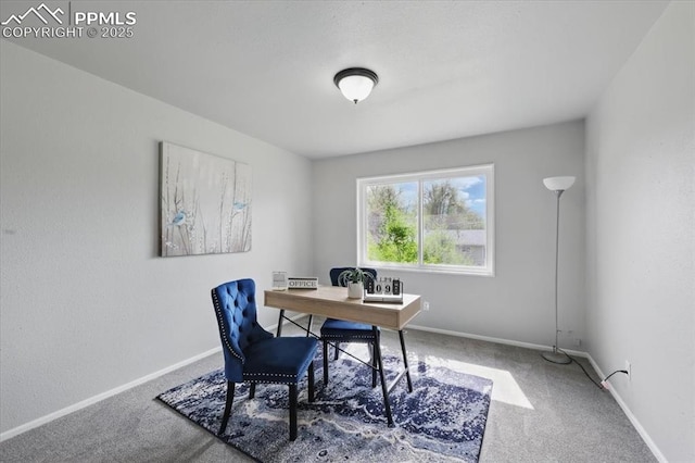 308 Steven Dr, Colorado Springs, CO 80911 - office featuring carpet floors and baseboards