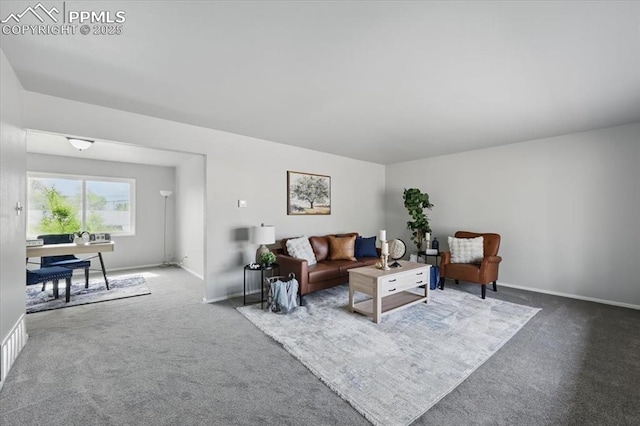 308 Steven Dr, Colorado Springs, CO 80911 - living area with carpet flooring and baseboards