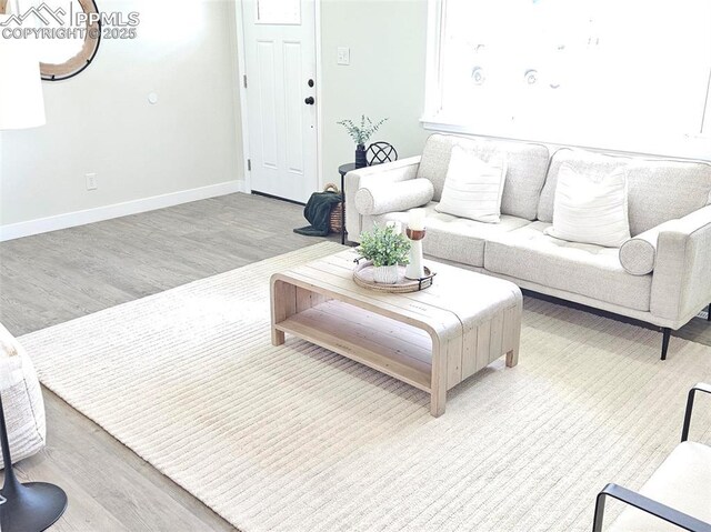 910 Dunston St, Colorado Springs, CO 80907 - living room with light wood-style flooring and baseboards