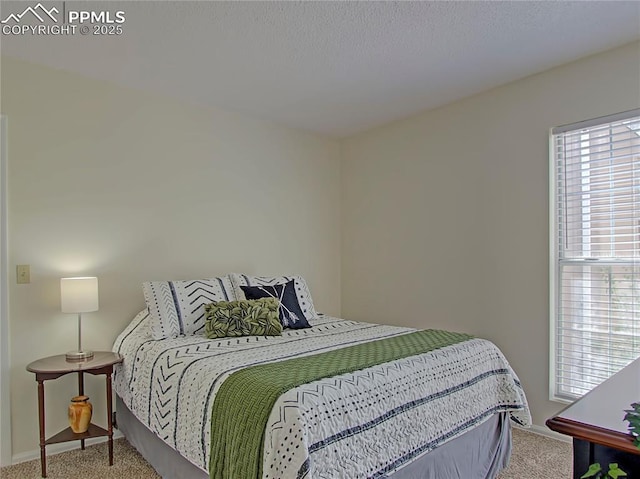 3425 Rebecca Ln Unit H, Colorado Springs, CO 80917 - carpeted bedroom featuring baseboards
