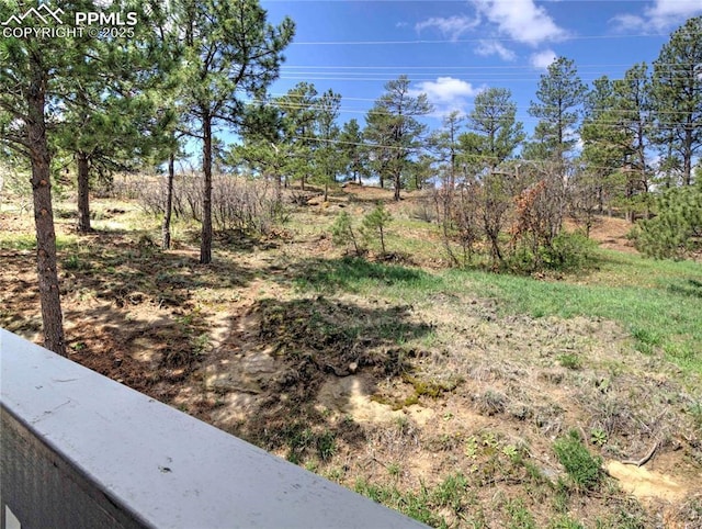 3425 Rebecca Ln Unit H, Colorado Springs, CO 80917 - view of yard