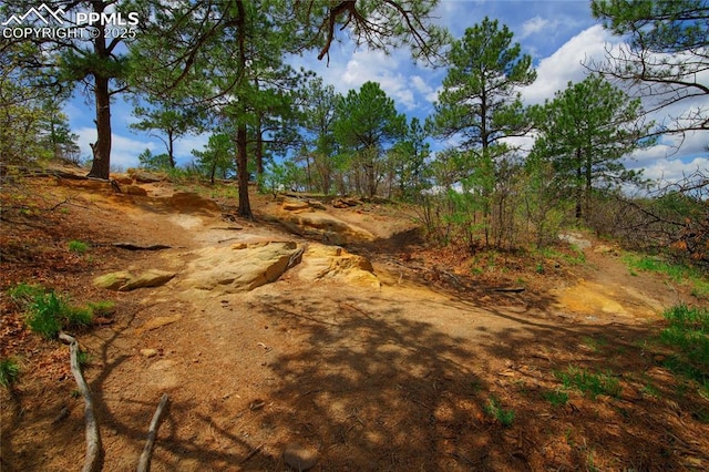 3425 Rebecca Ln Unit H, Colorado Springs, CO 80917 - view of undeveloped land