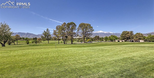 1169 Redfish Pt, Colorado Springs, CO 80904