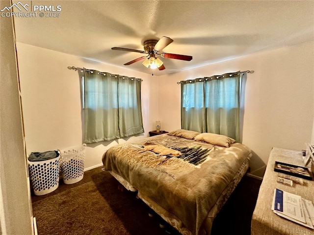 1701 Jerry Murphy Rd, Pueblo, CO 81001 - bedroom featuring carpet flooring, a ceiling fan, and baseboards