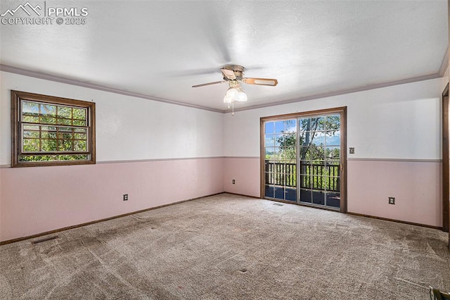7210 Antelope Ln, Colorado Springs, CO 80920 - spare room featuring ceiling fan, carpet flooring, ornamental molding, and baseboards