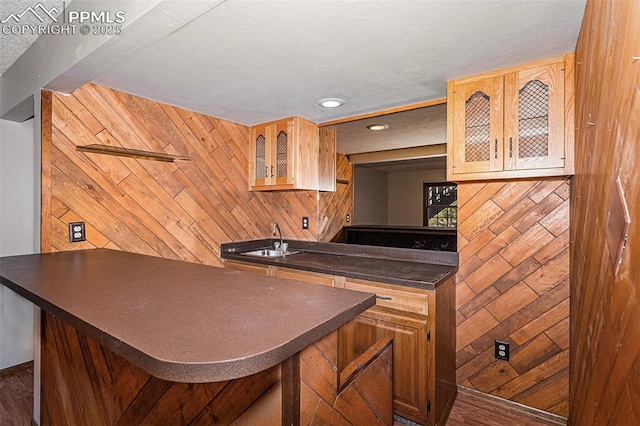7210 Antelope Ln, Colorado Springs, CO 80920 - kitchen with dark countertops, wood walls, glass insert cabinets, a sink, and recessed lighting