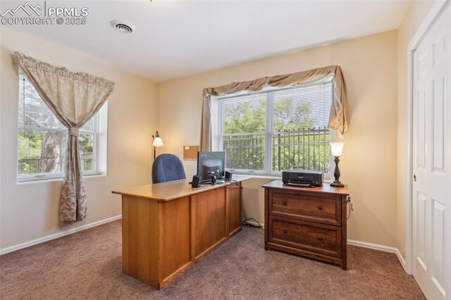 2744 La Strada Grande Hts, Colorado Springs, CO 80906 - office space with carpet flooring and baseboards