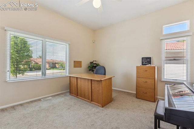 2744 La Strada Grande Hts, Colorado Springs, CO 80906 - home office featuring plenty of natural light, baseboards, and light carpet