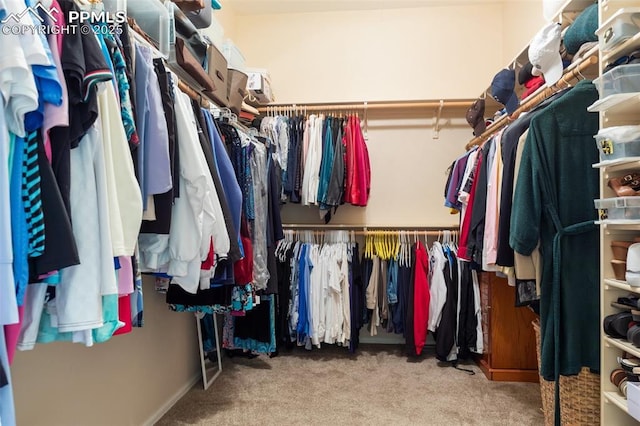 2744 La Strada Grande Hts, Colorado Springs, CO 80906 - spacious closet with carpet flooring