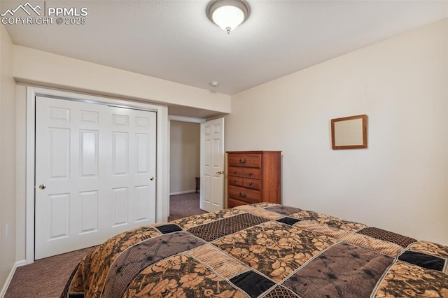 2744 La Strada Grande Hts, Colorado Springs, CO 80906 - bedroom featuring carpet, baseboards, and a closet