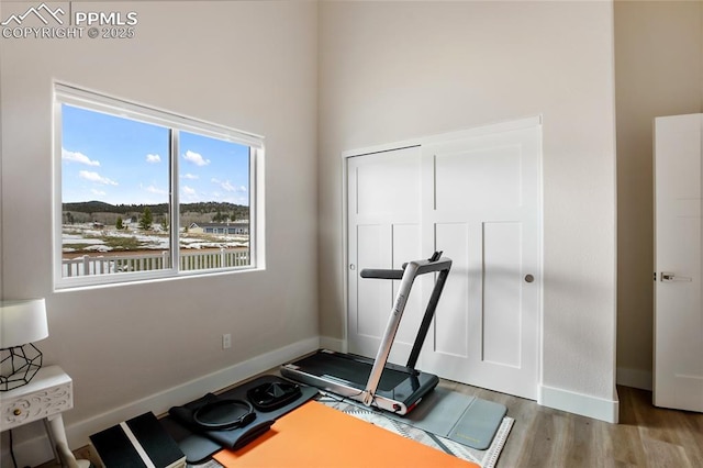 exercise room with wood finished floors, baseboards, and a high ceiling