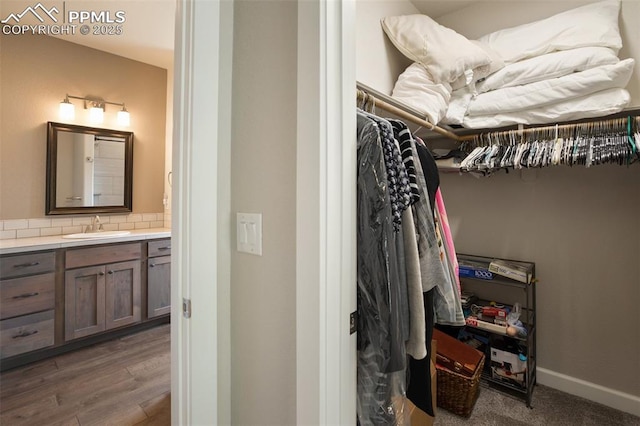 walk in closet featuring a sink and dark wood finished floors