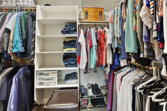view of spacious closet
