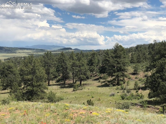Ouray Rd, Hartsel, CO 80449