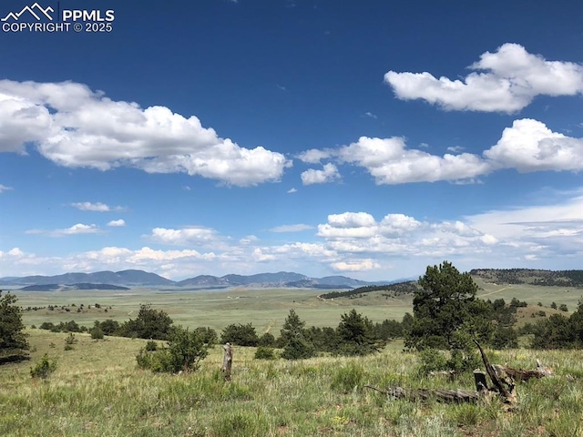 Ouray Rd, Hartsel, CO 80449