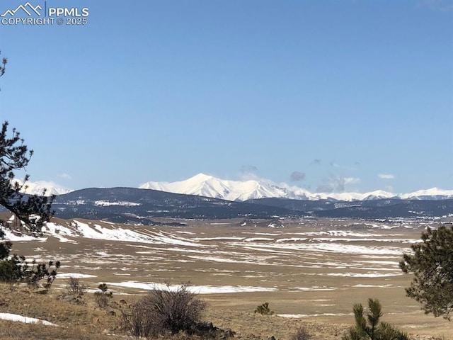 Ouray Rd, Hartsel, CO 80449