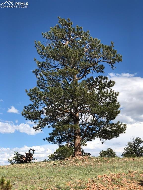 Ouray Rd, Hartsel, CO 80449