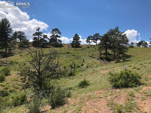 Ouray Rd, Hartsel, CO 80449