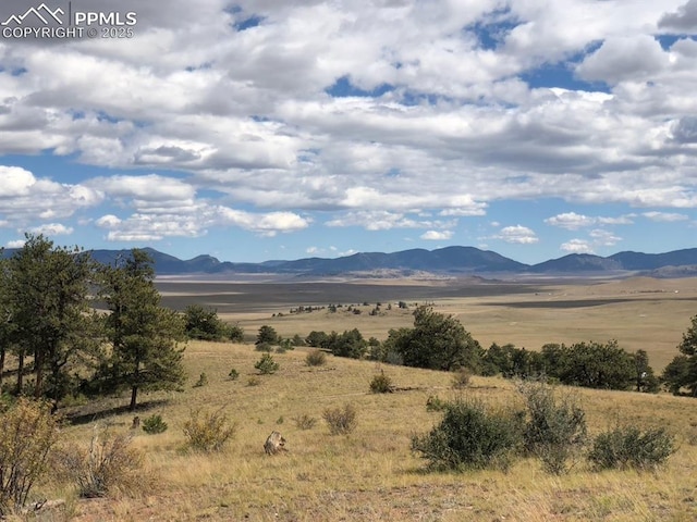 Ouray Rd, Hartsel, CO 80449