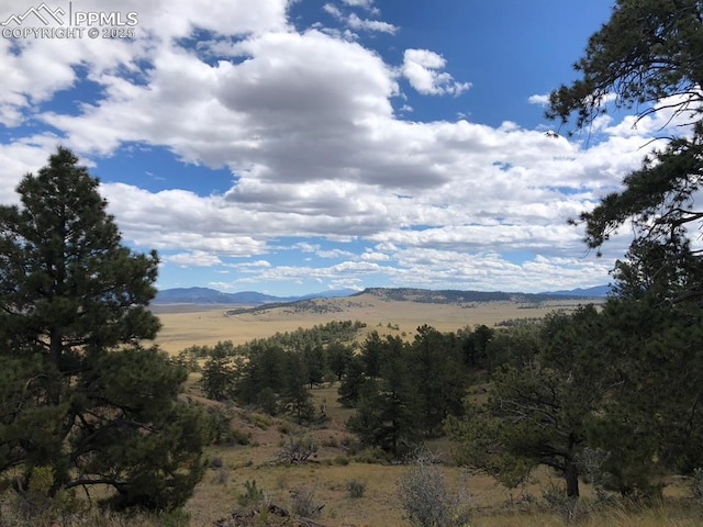 Ouray Rd, Hartsel, CO 80449