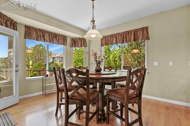 dining space featuring baseboards, light wood-style floors, and plenty of natural light