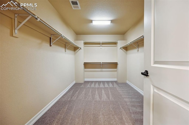 8451 Meadow Wing Cir, Colorado Springs, CO 80927 - spacious closet featuring carpet