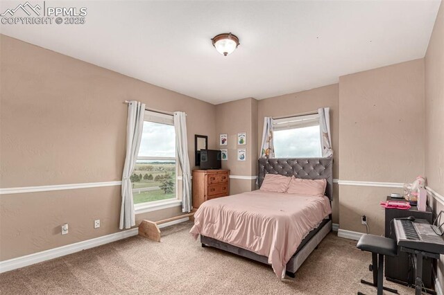 20097 Royal Troon Dr, Monument, CO 80132 - carpeted bedroom with baseboards