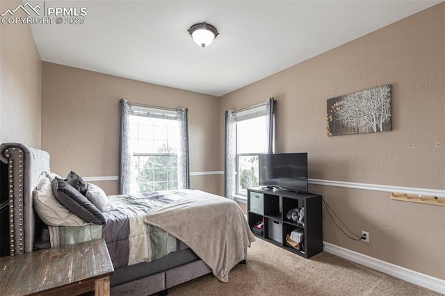 20097 Royal Troon Dr, Monument, CO 80132 - bedroom featuring multiple windows, carpet flooring, and baseboards