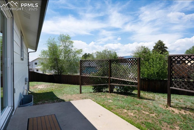 view of yard featuring a patio area