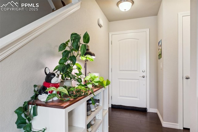 entryway featuring dark wood-type flooring and baseboards