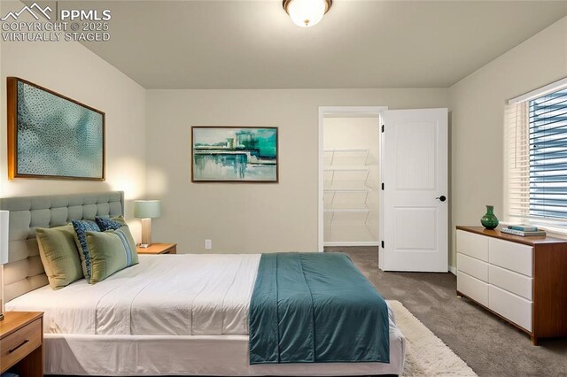 4479 Hessite Loop, Colorado Springs, CO 80938 - view of carpeted bedroom
