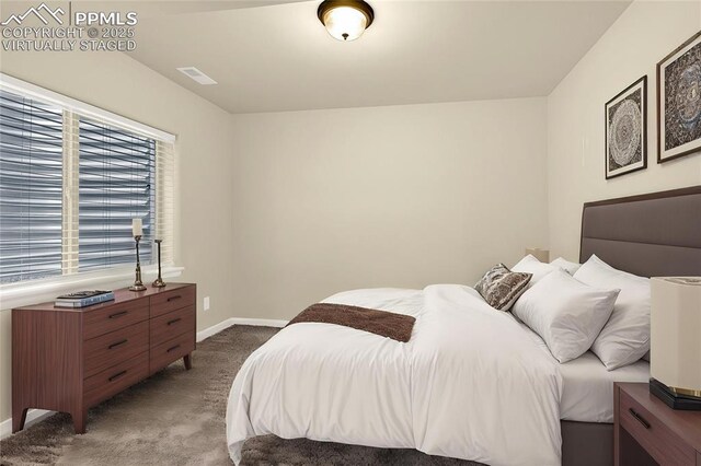4479 Hessite Loop, Colorado Springs, CO 80938 - bedroom with carpet flooring and baseboards