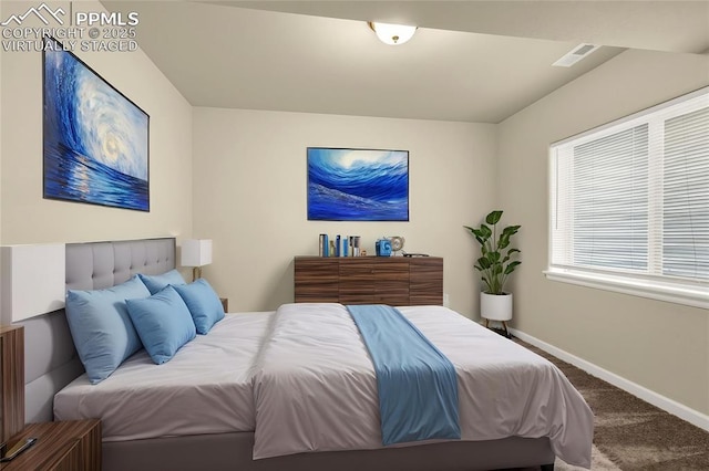 4473 Hessite Loop, Colorado Springs, CO 80938 - carpeted bedroom with baseboards