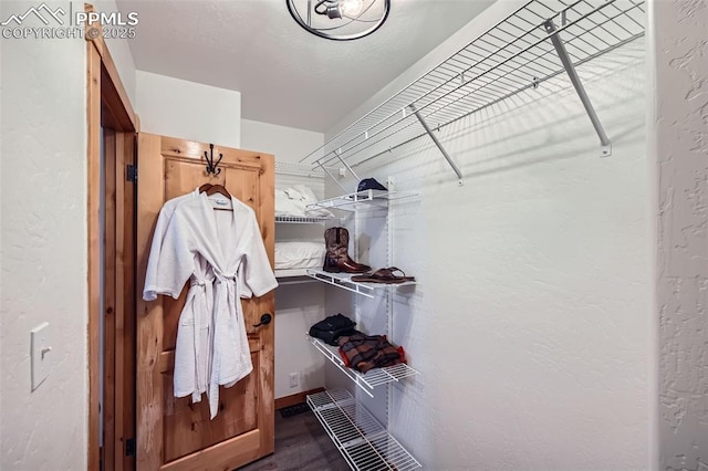 1978 High Chateau Rd, Florissant, CO 80816 - spacious closet with dark wood-style floors